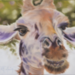 Pamela Bell's oil painting Smiling Giraffe