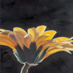 Pamela Bell's oil painting "Sunflower"